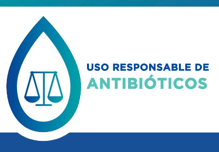 Uso responsable de los antibiticos
